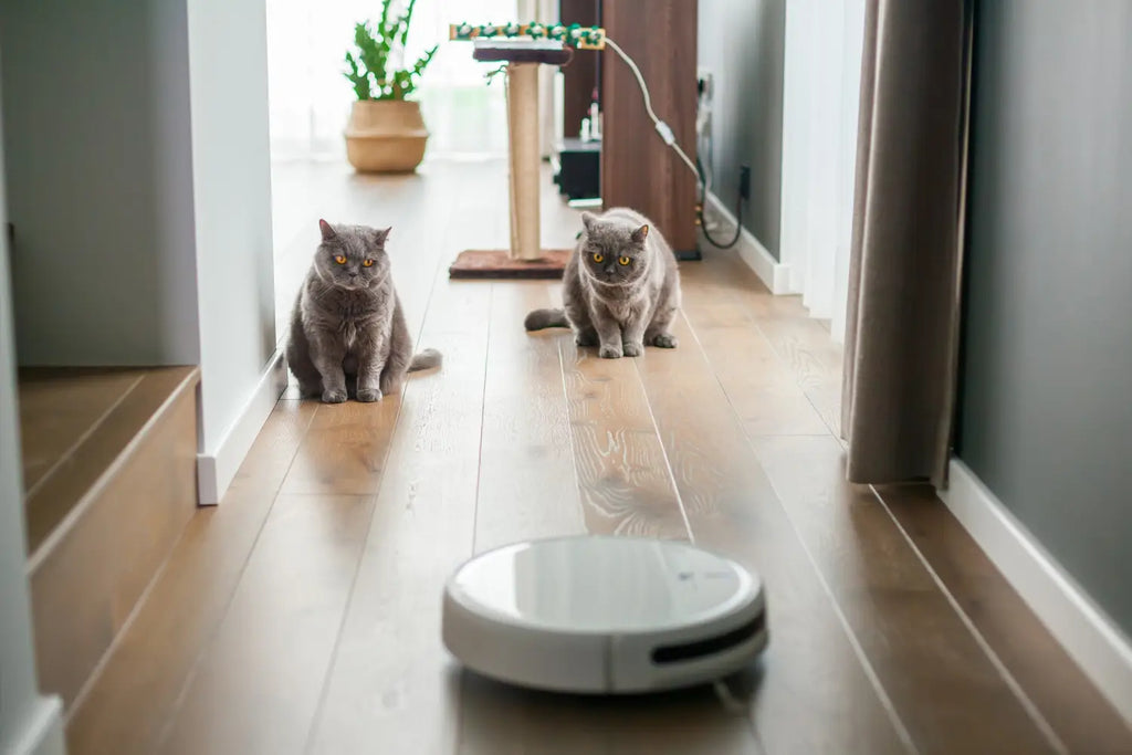 Könnyítsd meg a takarítást egy robotporszívó használatával!